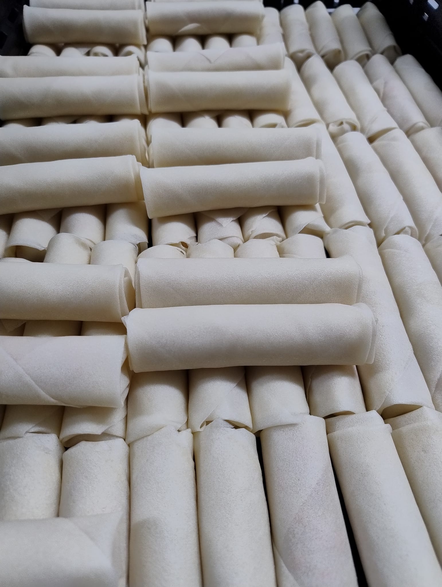 481016412_935011892049567_6179809779124640138_n